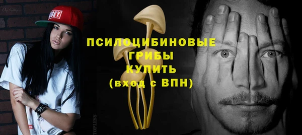 mdpv Надым