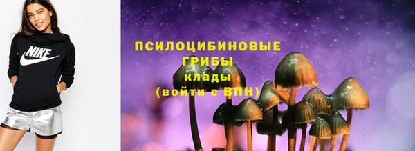 дживик Нея
