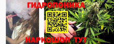 дмт Канаш