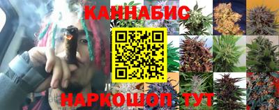 дмт Канаш