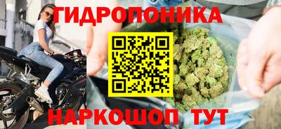 наркотики Камышлов