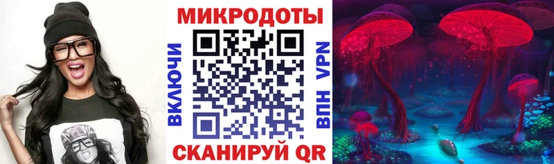продажа наркотиков  Заинск  omg вход  Псилоцибиновые грибы Cubensis 