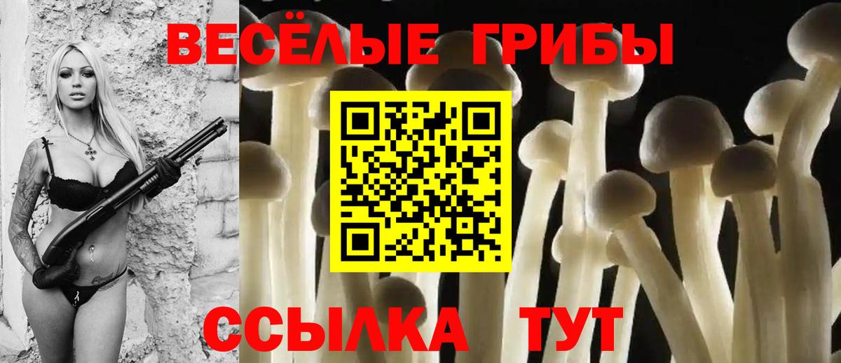 Псилоцибиновые грибы MAGIC MUSHROOMS  Заинск 