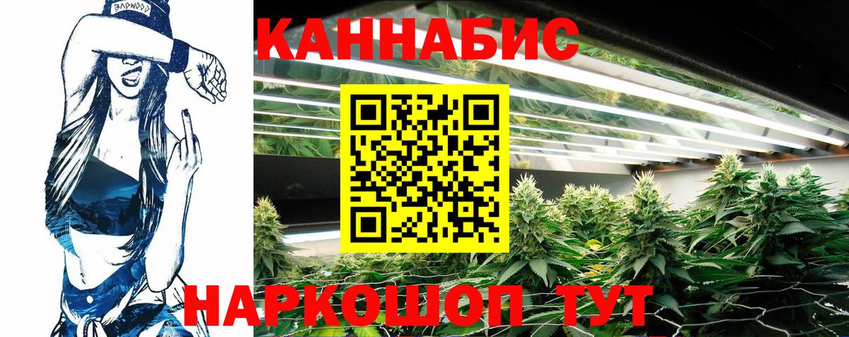 Каннабис план  Заинск  Канабис Ganja  Конопля Bruce Banner 
